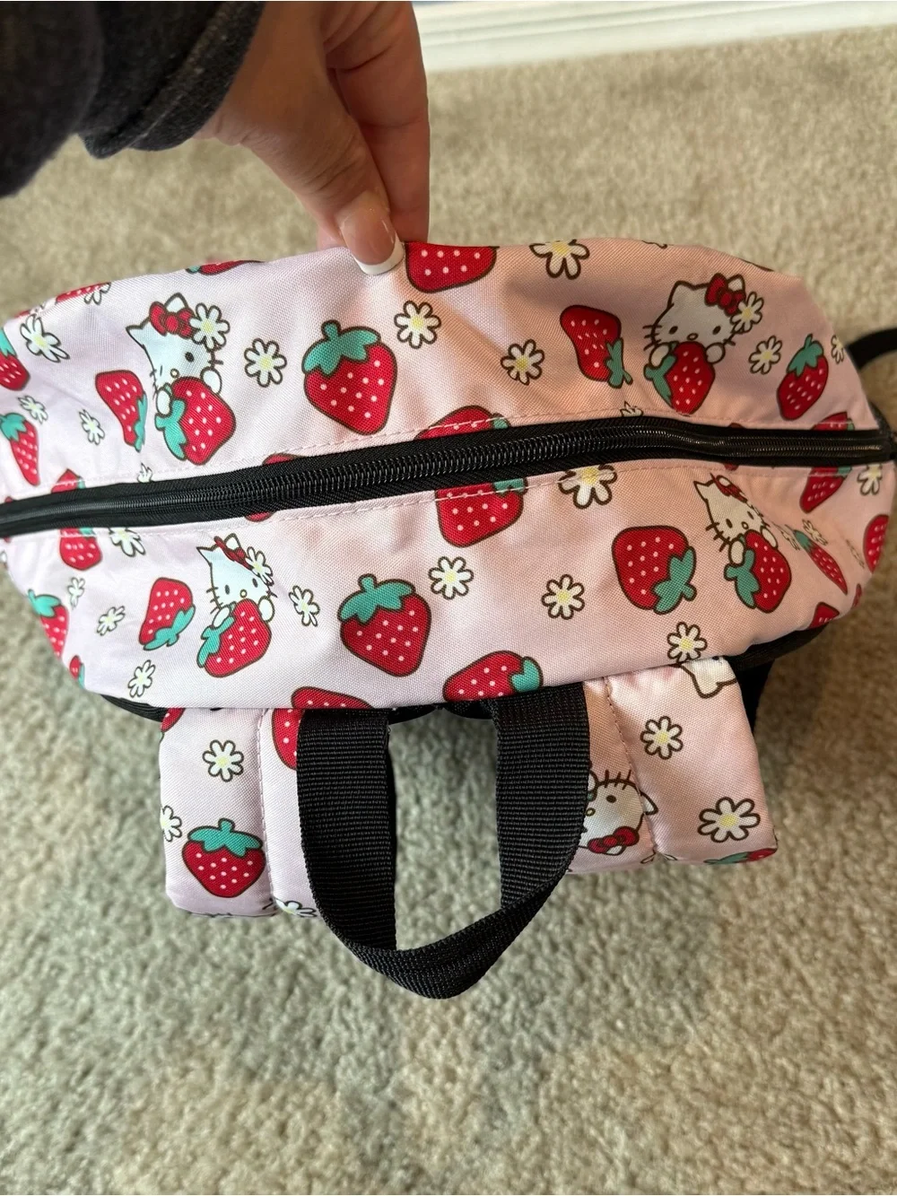Hello Kitty hello kitty